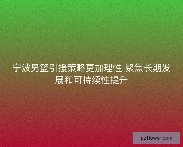 宁波男篮引援策略更加理性 聚焦长期发展和可持续性提升